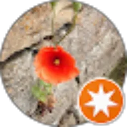 Review From munez a71