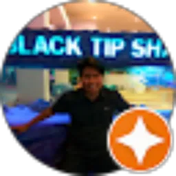 Review From Rifki Irawan