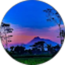 Review From Setro Driyo (X)