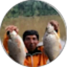 Review From Petualangborneo Wono