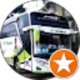 Review From Risky 150 STD
