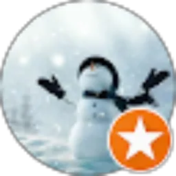 Review From Snow Man