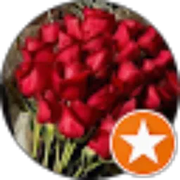 Review From Ghadah Abdo