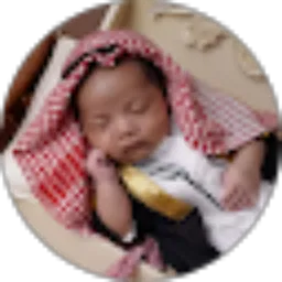 Review From Dicky Abu Kaizer
