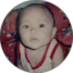 Review From Muhammad Akbar