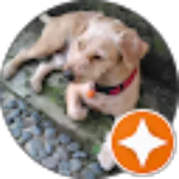 Review From Awie