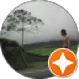 Review From seswo cahyono