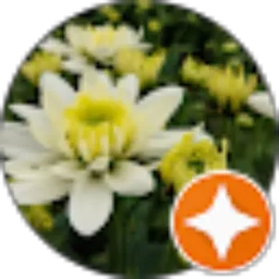 Review From Nensia S