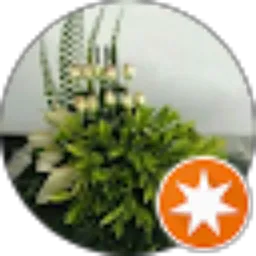 Review From Siti Rahayati (Tea)