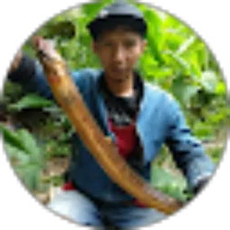 Review From Hilman Acot