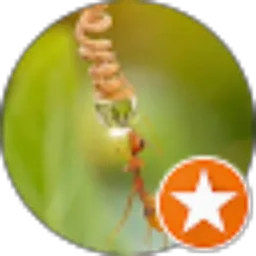 Review From Muhammad Rayan Alfan
