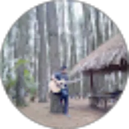 Review From Hary Anto