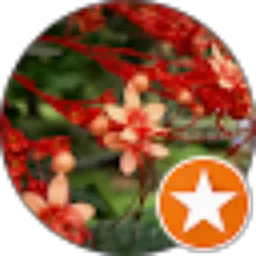 Review From Ervina