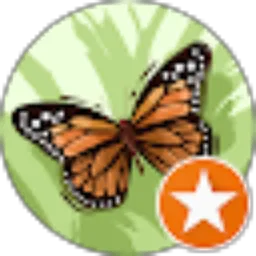 Review From verginsoe 04