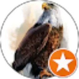 Review From R a M a Q u e n n a A l i e