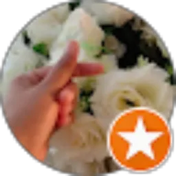 Review From Syall Haju