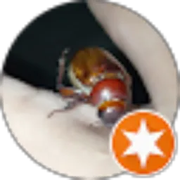Review From fredy ass