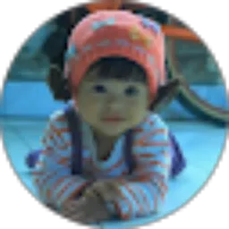 Review From Hariyono