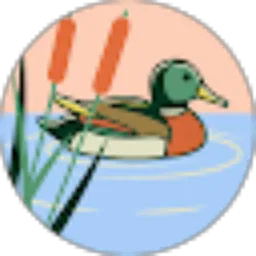 Review From Ferdani