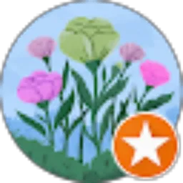 Review From kusuma h