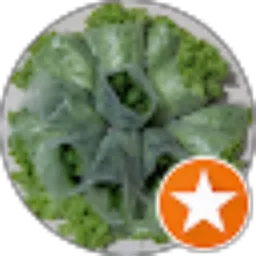 Review From Hydroponic garden key
