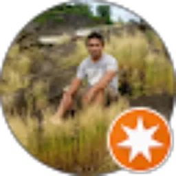 Review From V. Hari Purnomo