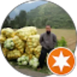 Review From Samson Barnea
