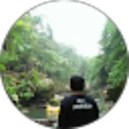 Review From Deni Julianto