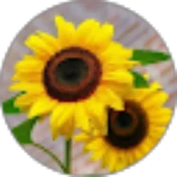 Review From SUNDUSIAH Sundusiah