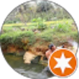Review From Risnando Sulistyo