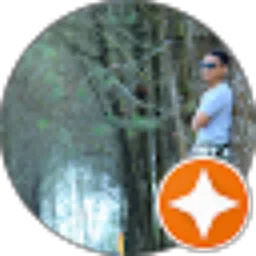 Review From Rival Star