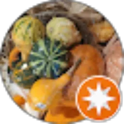 Review From Andreas Winata