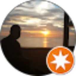 Review From Carlus Hasjim