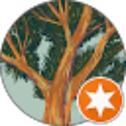 Review From Muhammad Tohfah