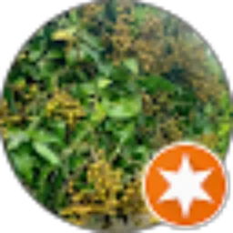Review From tony joko yuono