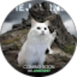 Review From Neko Yuka