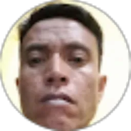 Review From nopdil Putra
