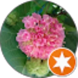 Review From kelulut itama [ZSL]