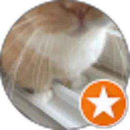 Review From Robert Robert