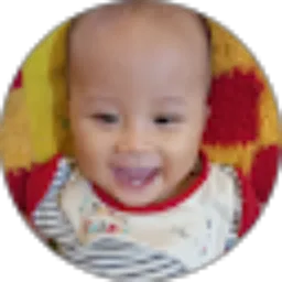 Review From Edy Subianto