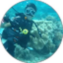 Review From angga sajiwa