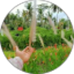 Review From Dian Mariana