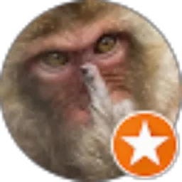 Review From Aris S