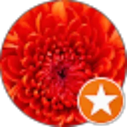 Review From f___ hsn