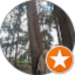 Review From Reno Miletina