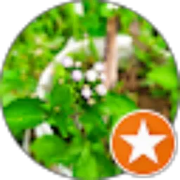 Review From TANPA NAMA