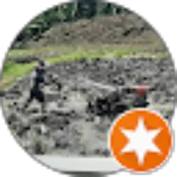 Review From Marlon Marlon