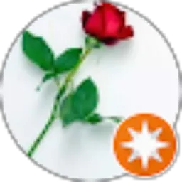 Review From Niz Lov