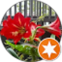 Review From Ai Yuliansah