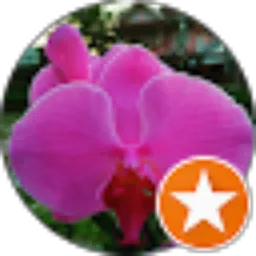 Review From Ajo “AB” Blaster